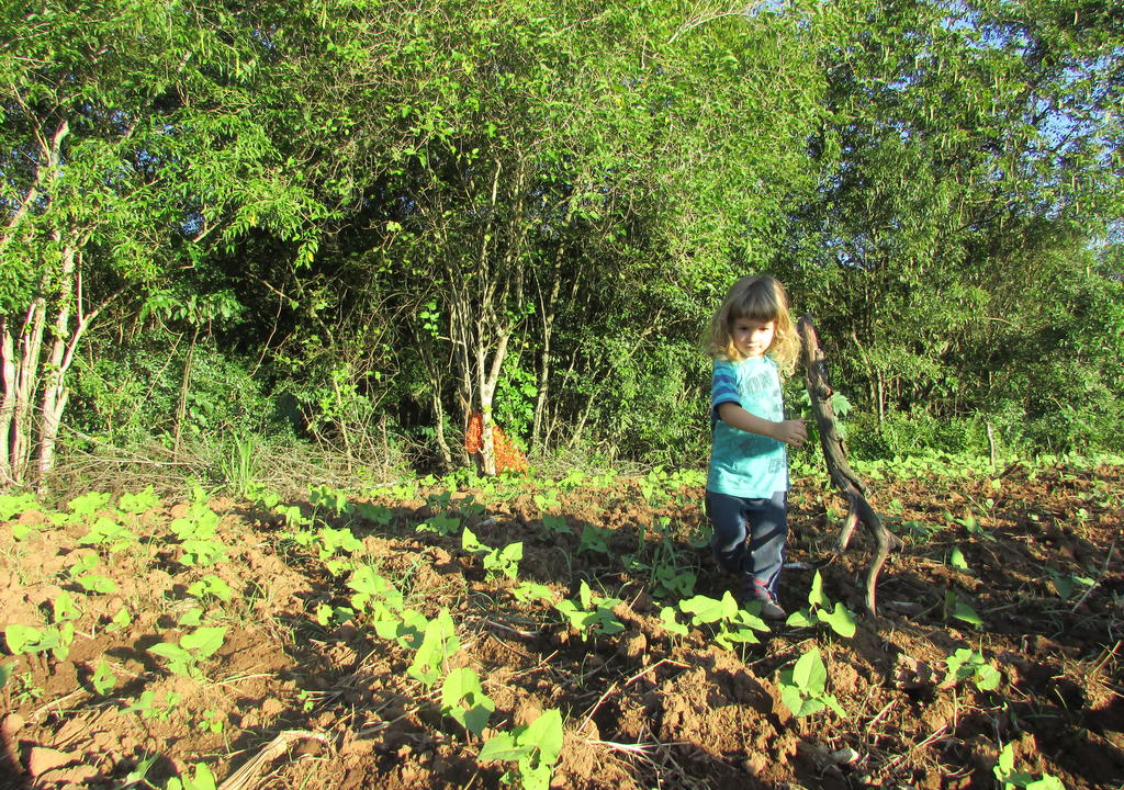 Let's harvest what we plant near Gramado/RS!