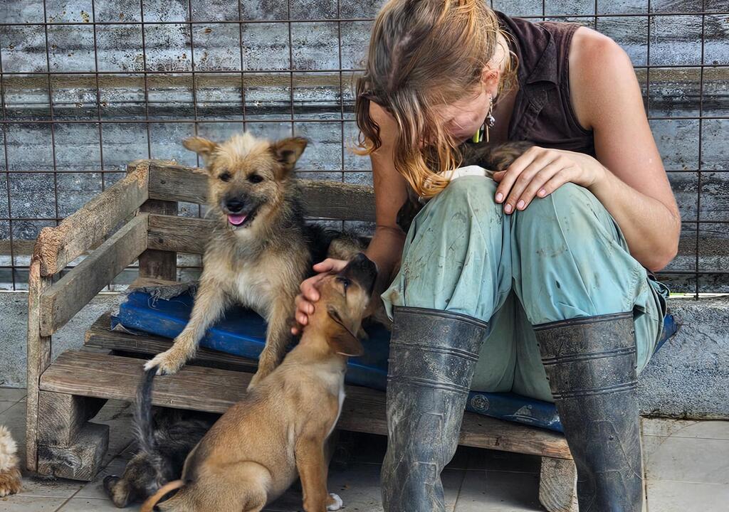 Help us with the daily care of our shelter dogs and cats