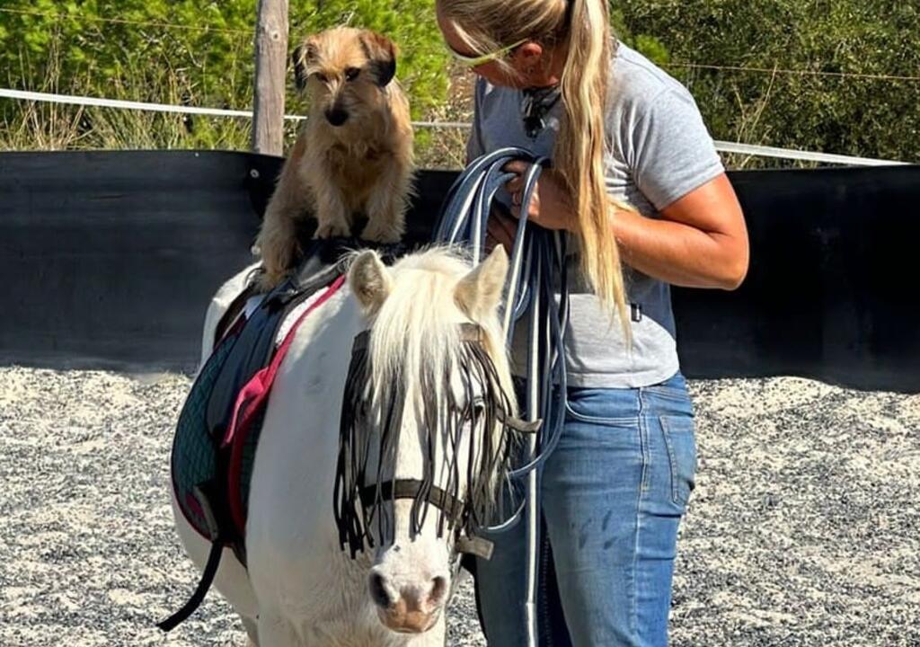 Farm Girl Wanted: Horses & Hospitality in Portugal