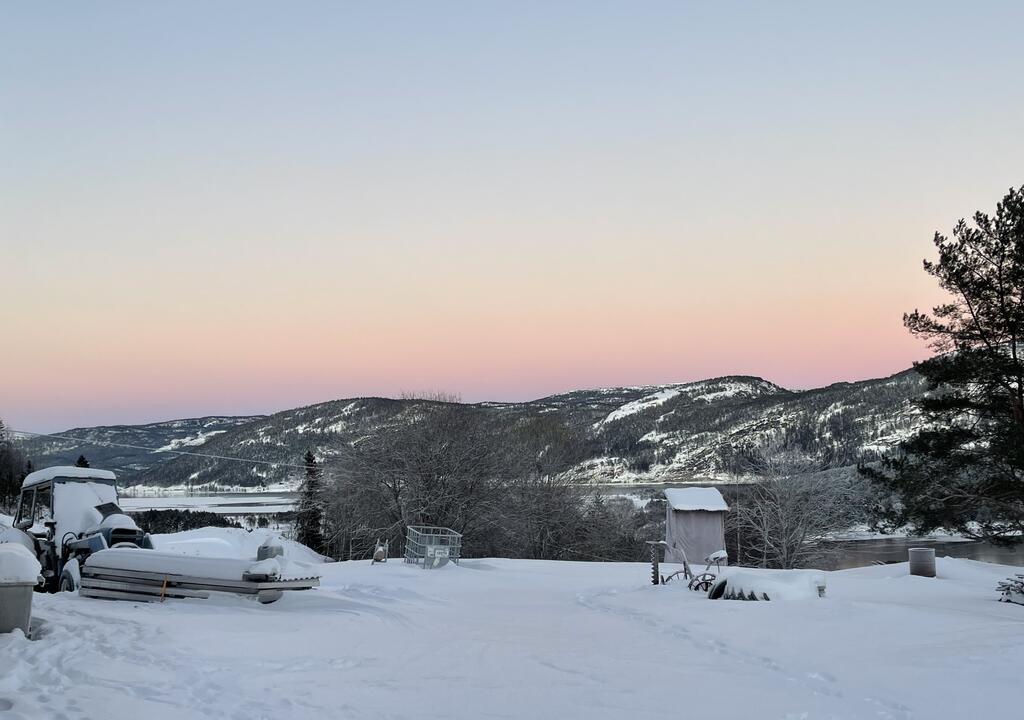 🌾 Help Needed on Our Farm in Norway! 🚜🌿