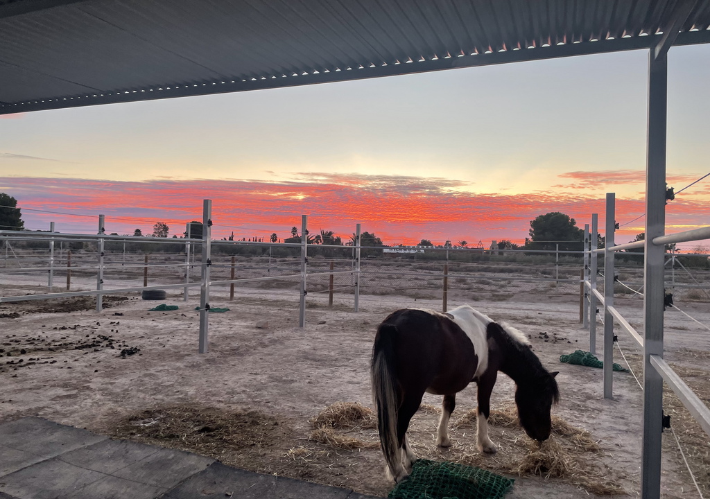 Come help our family in a beautiful farm in Bulgaria!