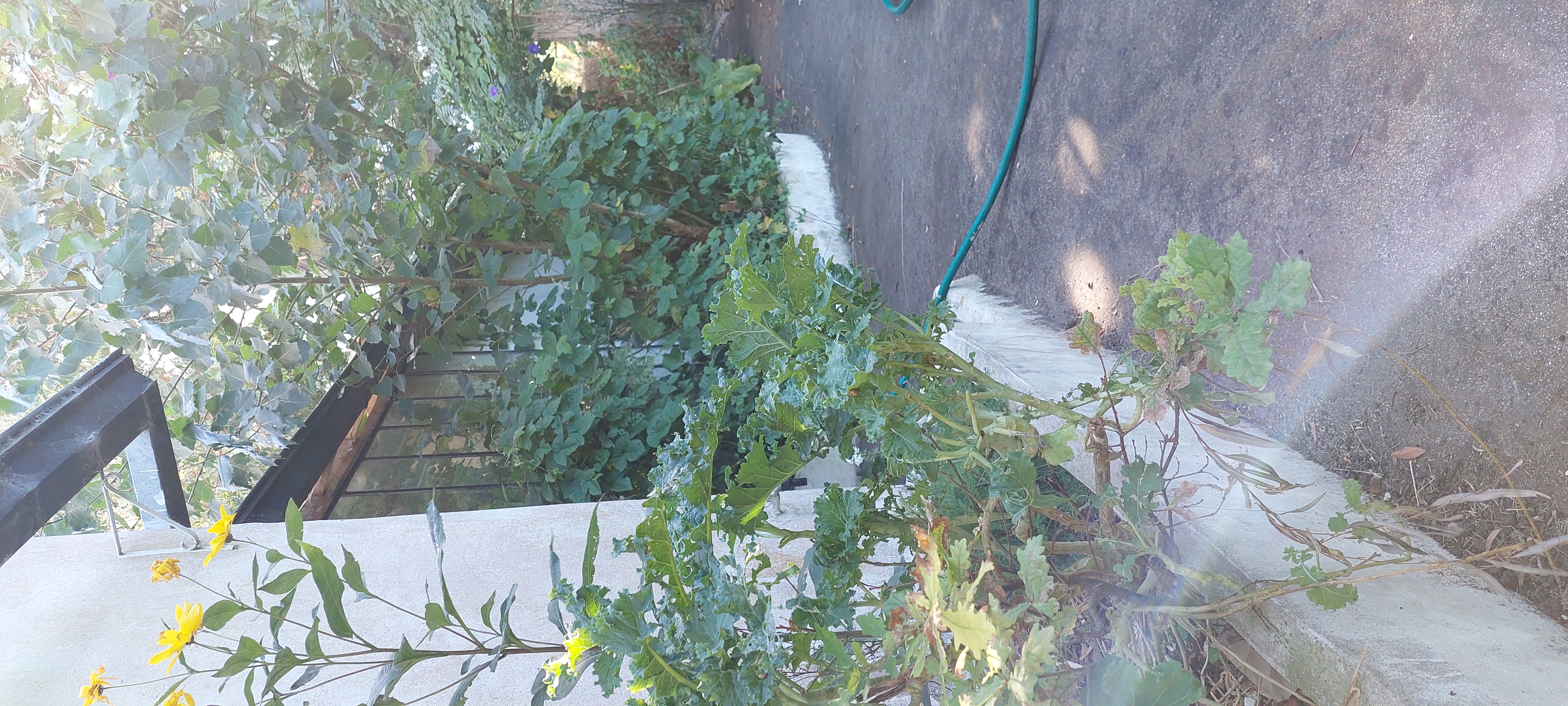 Property Photos image 3