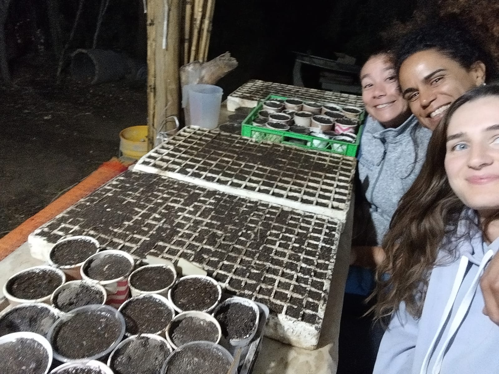 Property Photos image 2